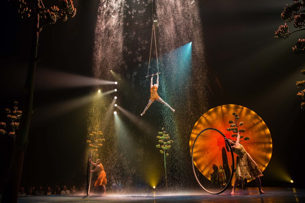 06_roue_cyr_trapeze-0392
